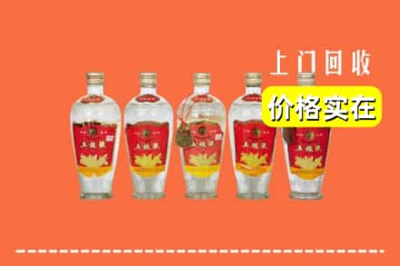 诚信求购:商洛柞水县高价回收老五粮液